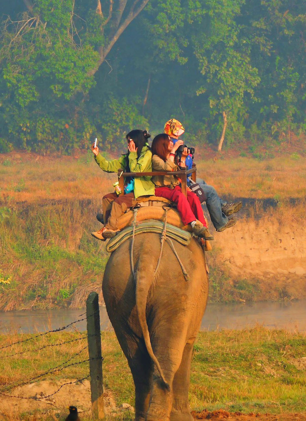 Chitwan